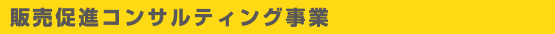 販売促進コンサルティング事業