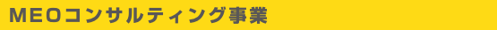 MEOコンサルティング事業